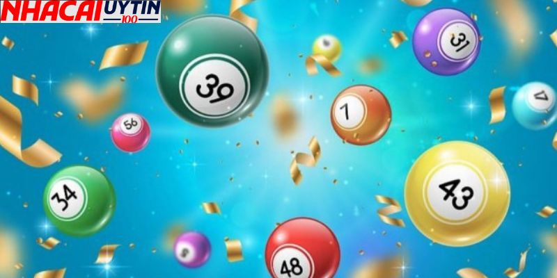 Những Thông Tin Cơ Bản Về Nhà Cái Hàng Đầu Việt Nam Vnq8 2 Kho sản phẩm trò chơi cực kỳ phong phú