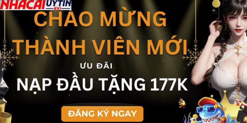 Những Thông Tin Cơ Bản Về Nhà Cái Hàng Đầu Việt Nam Vnq8 3 Sân chơi có nhiều ưu đãi, sự kiện hấp dẫn